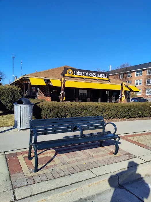Einstein Bros. Bagels Picture 10