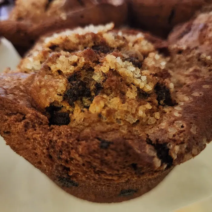 Baking Bird Picture 10