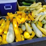Larson’s Country Market & Bake Shoppe