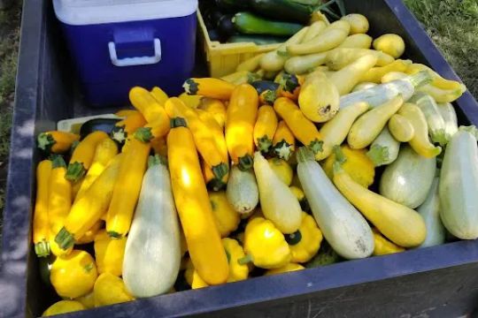 Larsonu2019s Country Market & Bake Shoppe