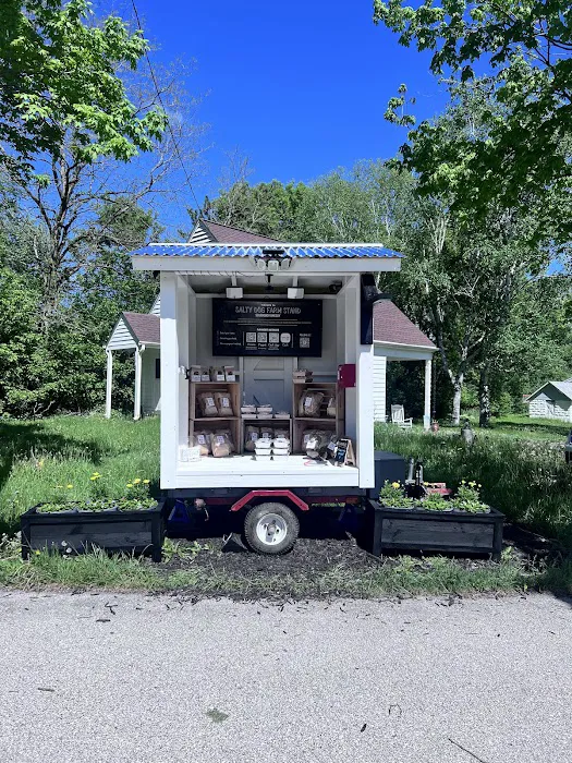 Salty Dog Farm Stand Sourdough Bakery Picture 2