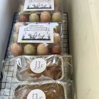 Salty Dog Farm Stand Sourdough Bakery ico
