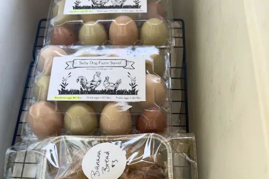 Salty Dog Farm Stand Sourdough Bakery