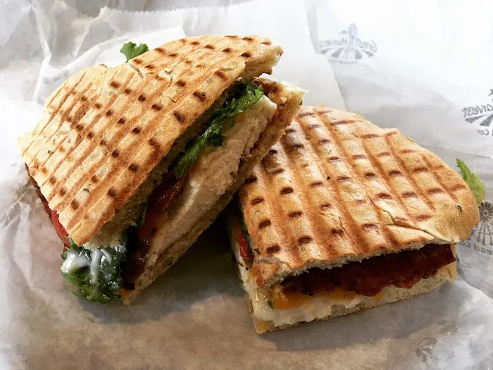 Great Harvest Bread Co. Picture 9