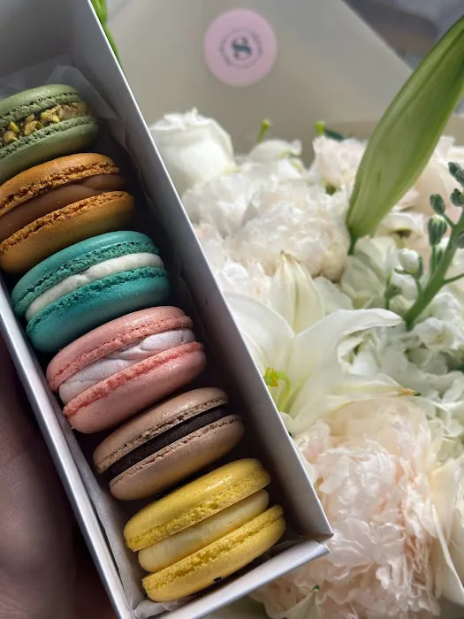 Sugar Cat Macaron Baking Studio (work with pre-orders) Picture 9