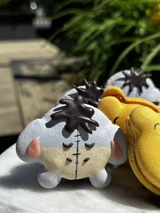 Sugar Cat Macaron Baking Studio (work with pre-orders) Picture 1