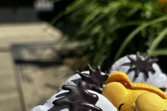 Sugar Cat Macaron Baking Studio (work with pre-orders)