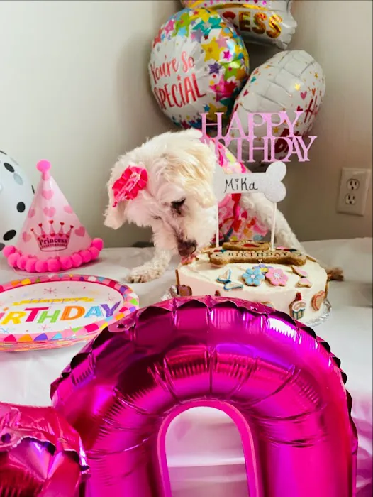 B & J's Pampered Pup Bakery Picture 1