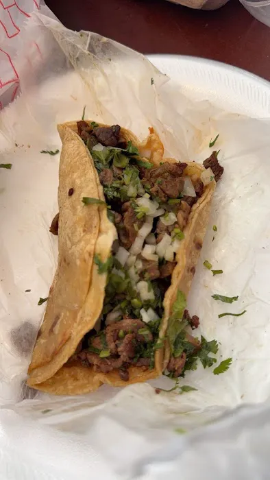Tute's Bakery and Taqueria Picture 4