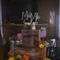 Cheshire Cakes ico