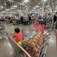 Costco Bakery ico