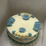 Bloom Bakes
