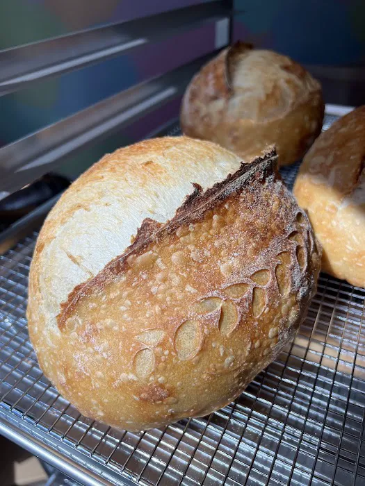SummerHouse Sourdough Picture 7