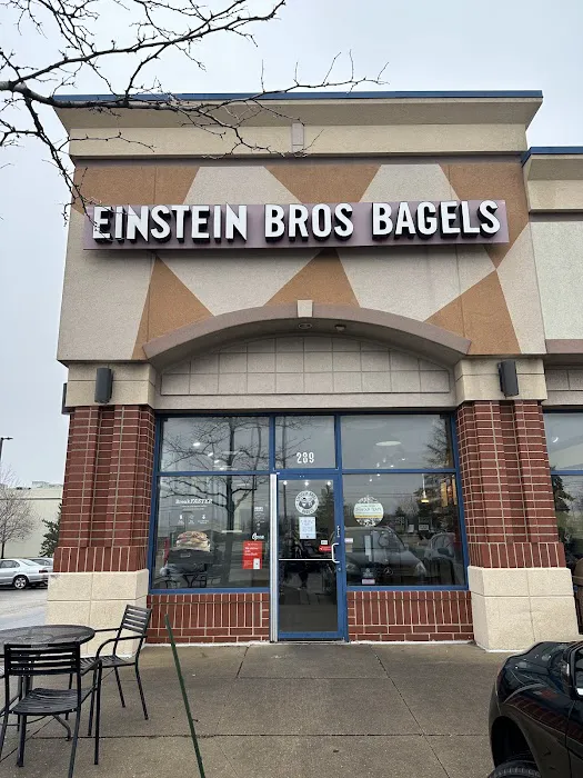 Einstein Bros. Bagels Picture 10