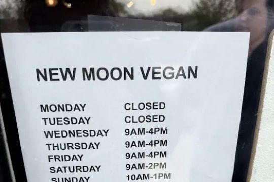 New Moon Vegan