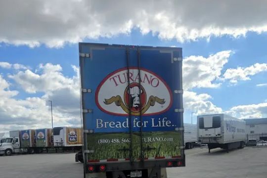 Knead Dough Co Turano Bread