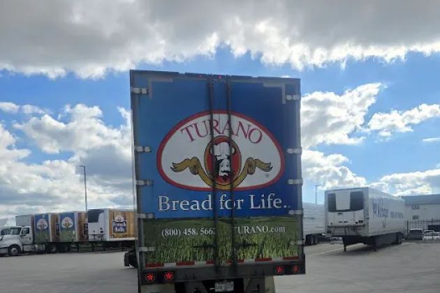 Knead Dough Co Turano Bread