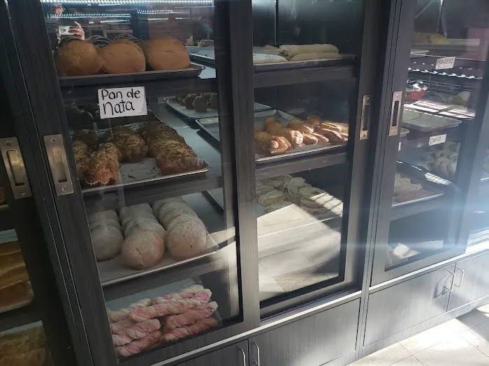 Pastigel Premium Bakery Picture 1