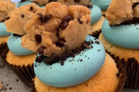 Area 51 Cupcakery