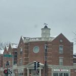 Misericordia Sweet Shoppe
