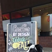 Cookies & Cupcake By Design ico