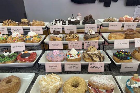 Once Bitten Donuts