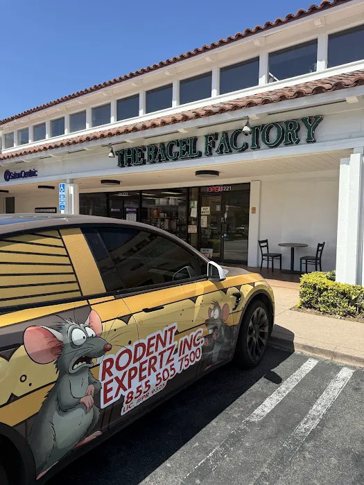 The Bagel Factory Picture 6