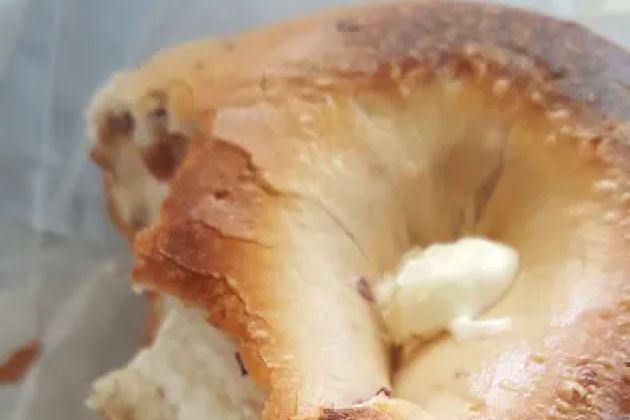 The Bagel Factory