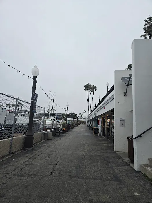 Pier Bakery & Churros Picture 5