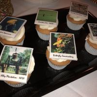 The Vintage Cake ico