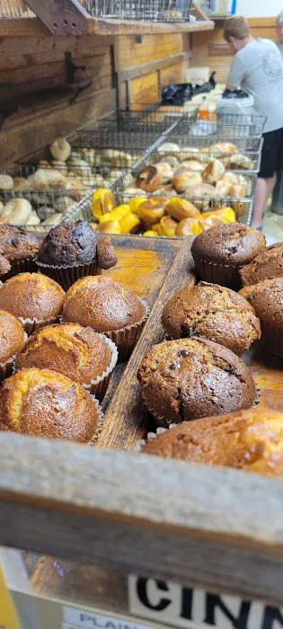 Hot Bagel Bakery Picture 10