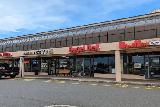 FaNagle the Bagel