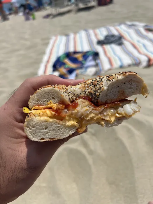 FaNagle the Bagel Picture 9