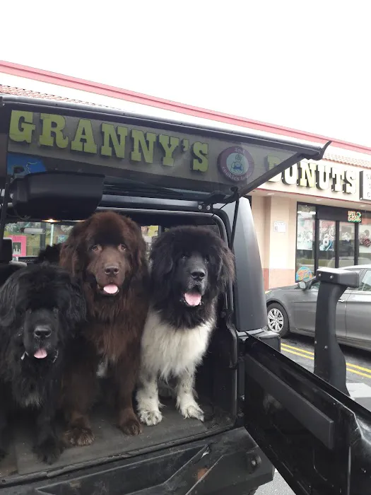 Granny's Donuts Picture 5