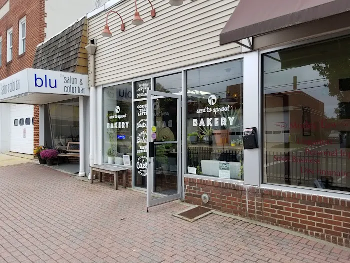 Seed to Sprout Bakery Picture 5