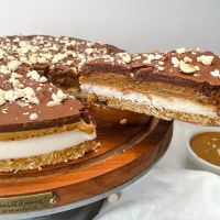 Treat Well Foods ico