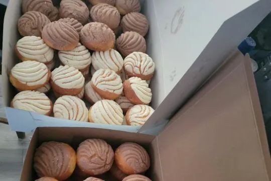 Panaderu00eda Texcoco