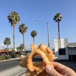 Circle H Donuts