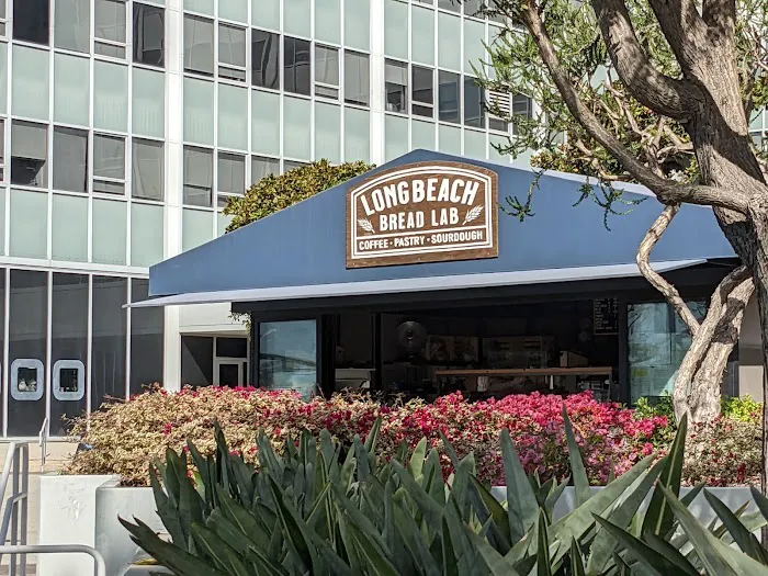 Long Beach Bread Lab Picture 5