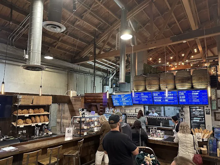 Long Beach Bread Lab Picture 3