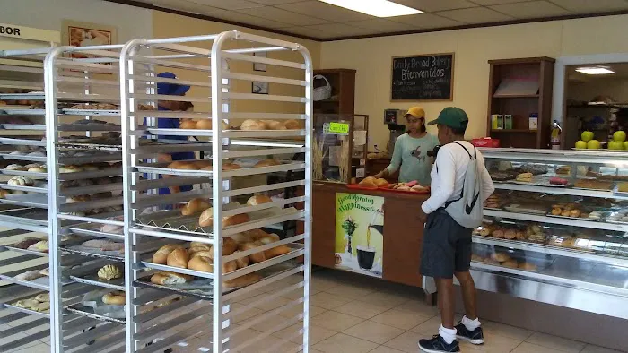 Daily Bread Bakery Picture 3