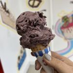 Coney Waffle Ice Cream Cakery