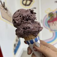 Coney Waffle Ice Cream Cakery ico
