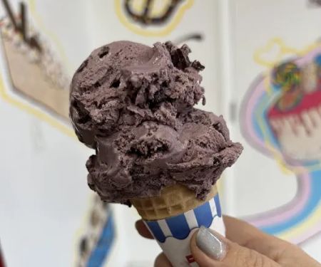Coney Waffle Ice Cream Cakery