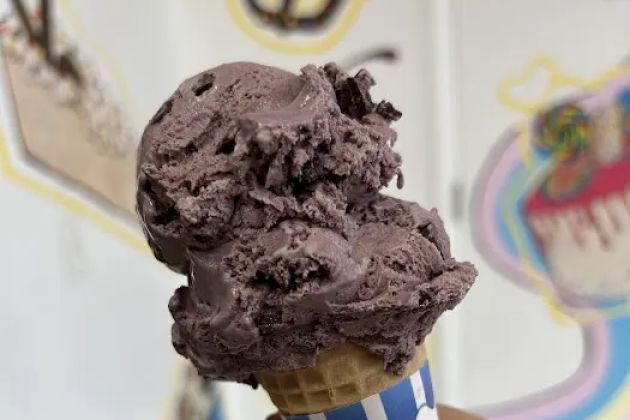 Coney Waffle Ice Cream Cakery