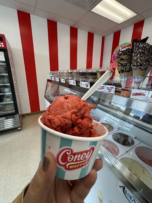 Coney Waffle Ice Cream Cakery Picture 9