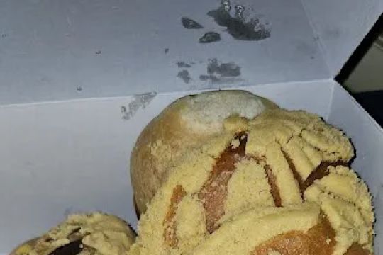 Pan Estilo Copala