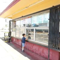 Daily Donuts Croissants ico