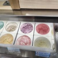 Daily Donut House ico
