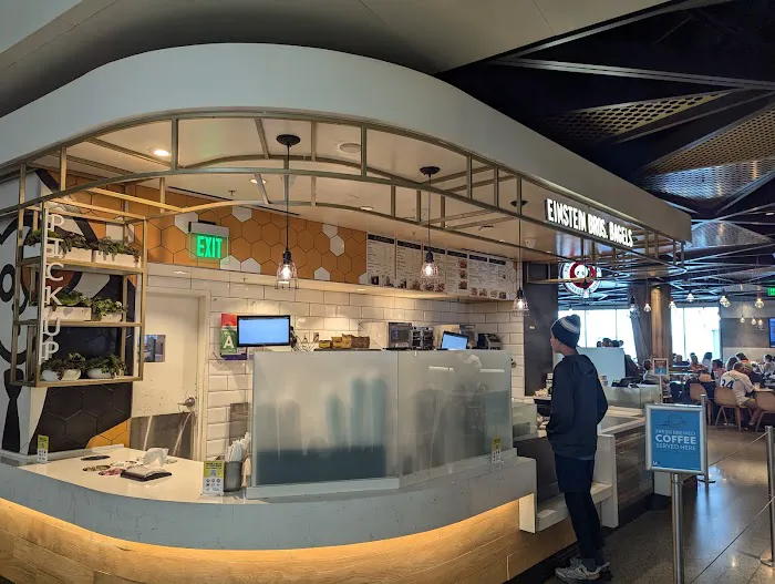 Einstein Bros. Bagels Picture 2